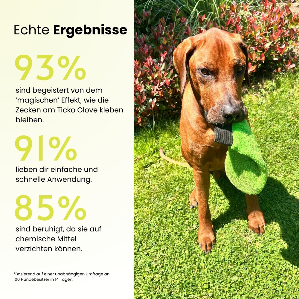 Ticko Glove | Zecken mühelos entfernen