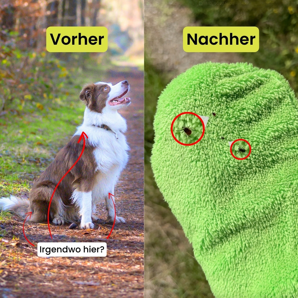 Ticko Glove | Zecken mühelos entfernen
