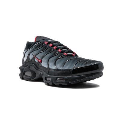 NIKE AIR MAX PLUS "Blue and Red"