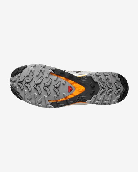 Men's Trail Running Shoe XA Pro 3D V9