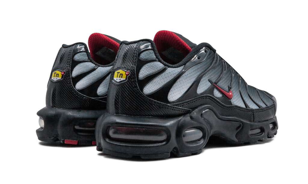 NIKE AIR MAX PLUS "Blue and Red"