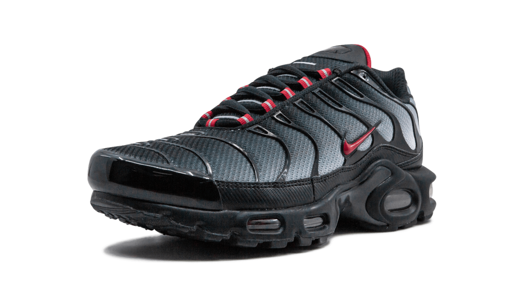 NIKE AIR MAX PLUS "Blue and Red"